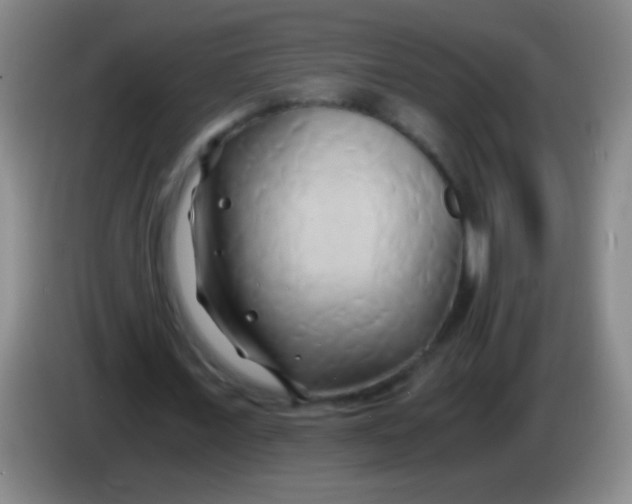 X0000084010675200703091927