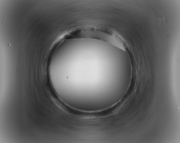 X0000084010677200703091927