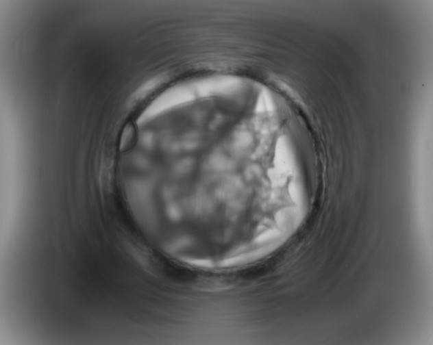 X0000084010679200703091927