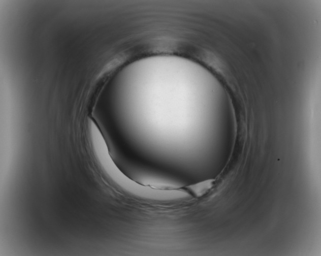 X0000084010681200703091927