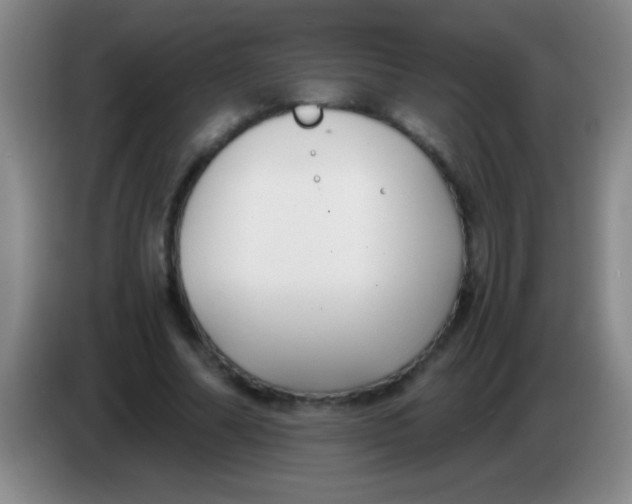 X0000084010682200703091927