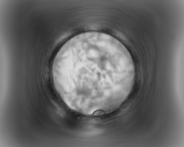 X0000084010683200703091927