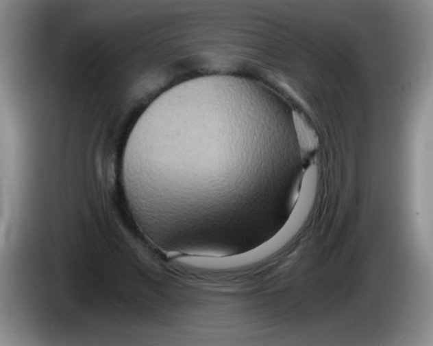 X0000084010685200703091927