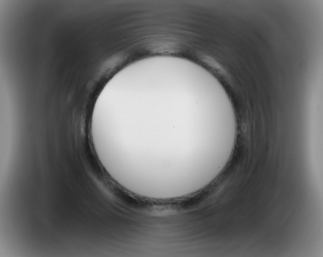 X0000084010686200703091927