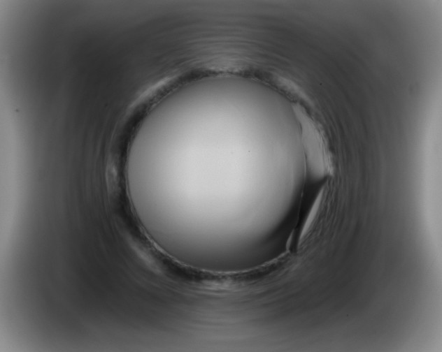 X0000084010688200703091927