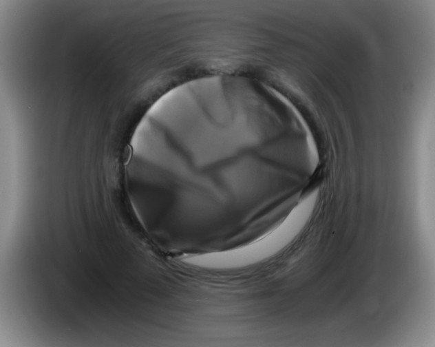 X0000084010689200703091927