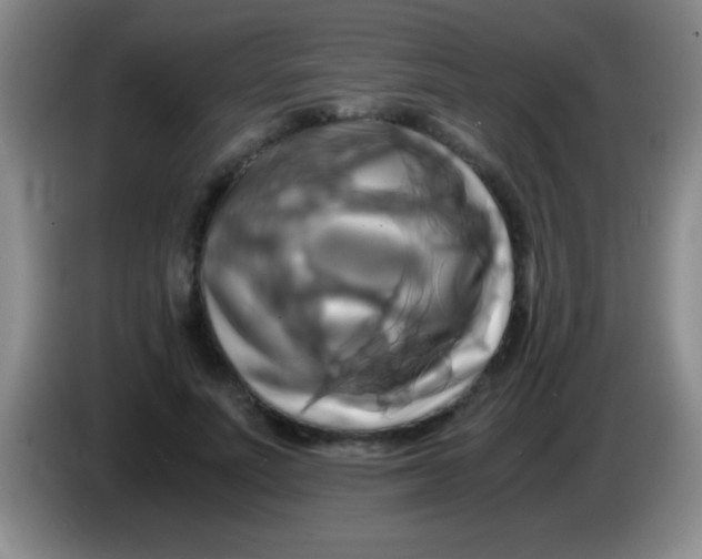 X0000084010691200703091927