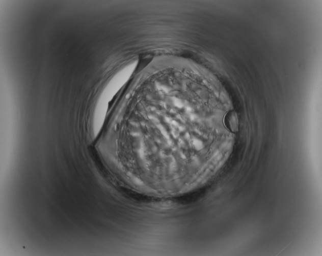 X0000084010695200703091927