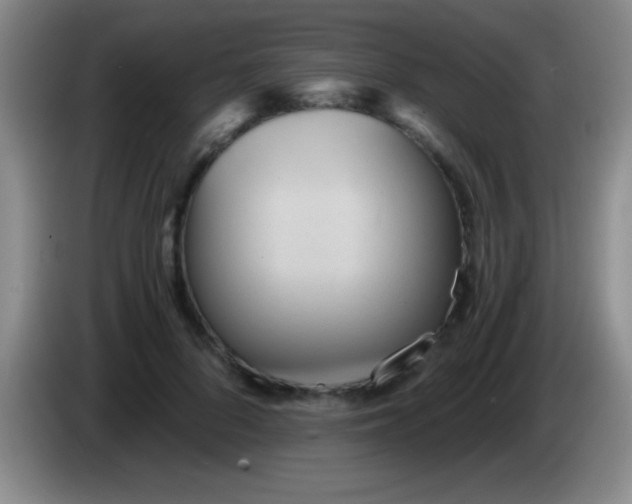 X0000084010696200703091927