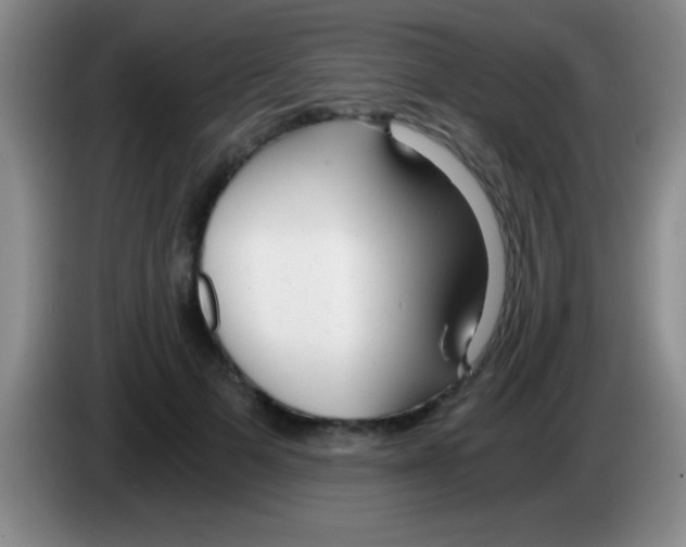 X0000084010697200703091927