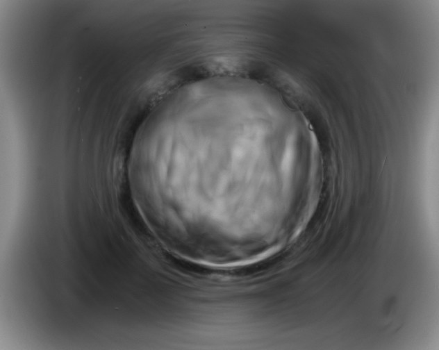 X0000084010699200703091927