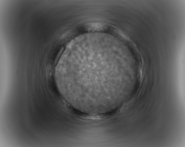 X0000084010701200703091927