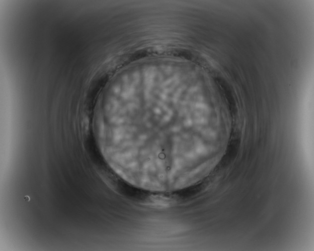 X0000084010703200703091927