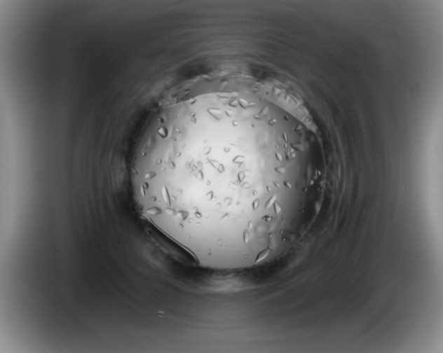 X0000084010704200703091927