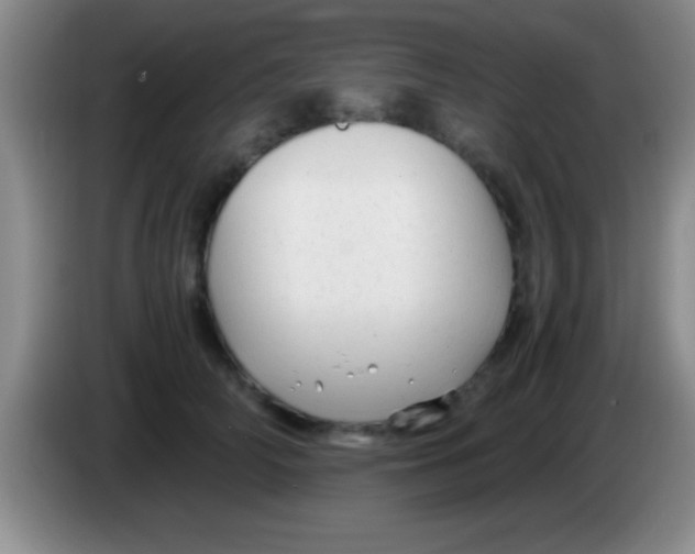 X0000084010706200703091927