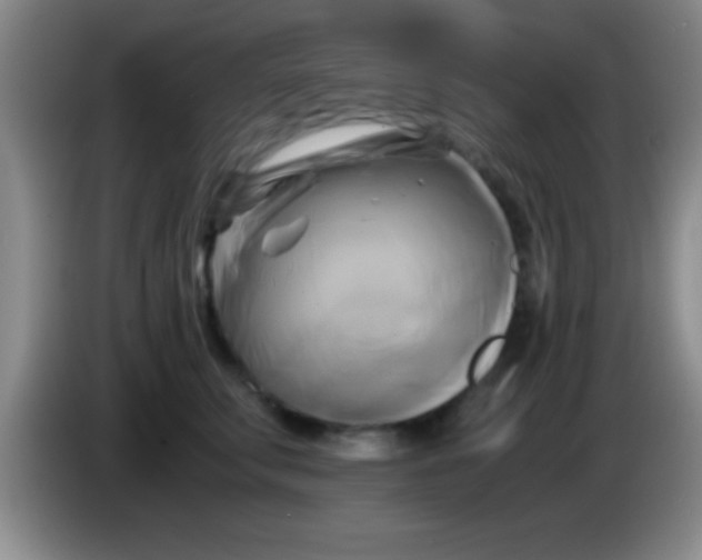 X0000084010711200703091927