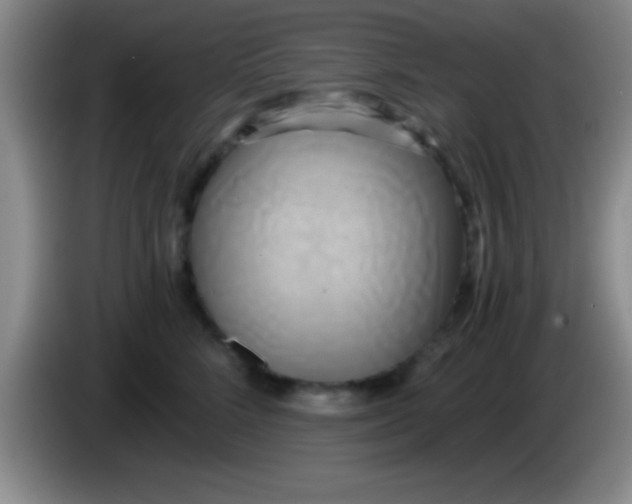 X0000084010712200703091927