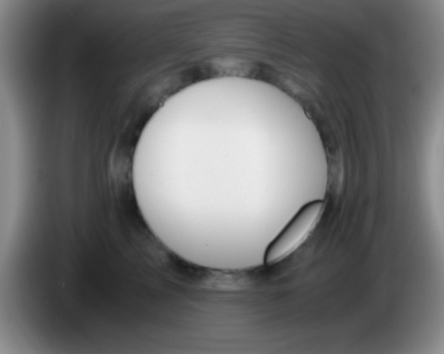 X0000084010713200703091927