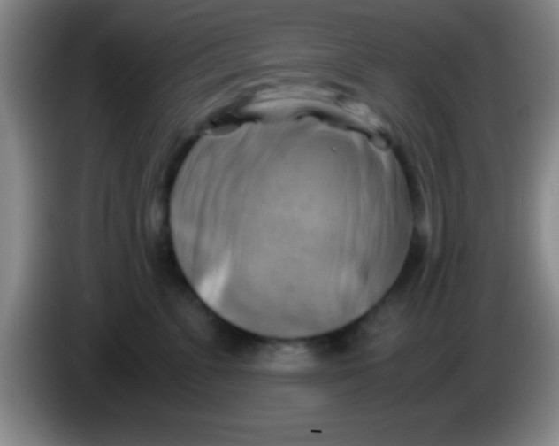 X0000084010715200703091927