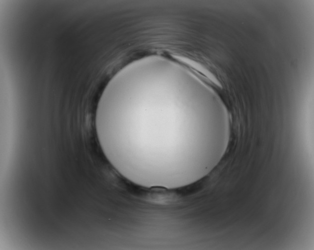 X0000084010716200703091927