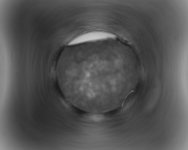 X0000084010719200703091927