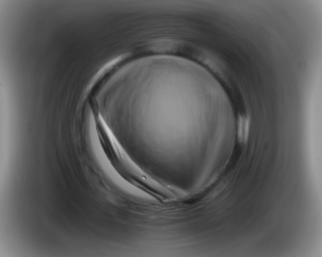 X0000084010723200703091926