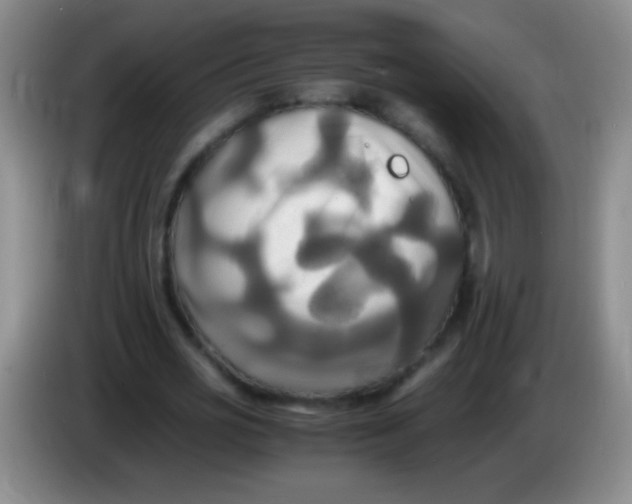 X0000084010725200703091926