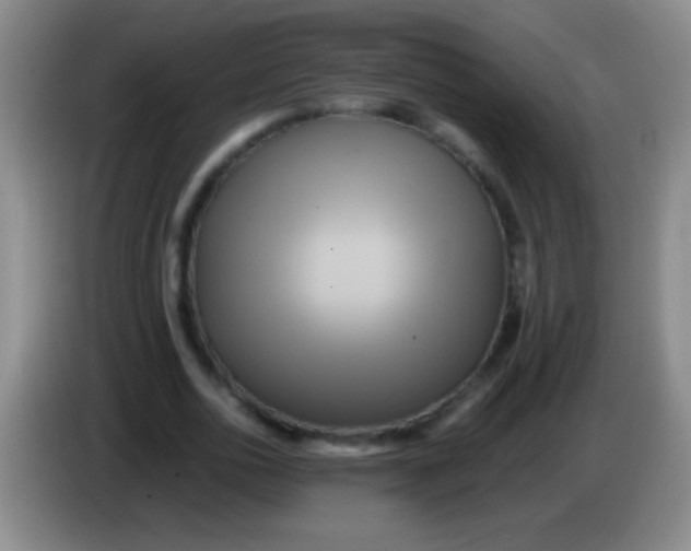 X0000084010726200703091926