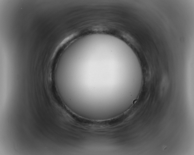 X0000084010727200703091926