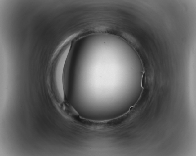 X0000084010728200703091926