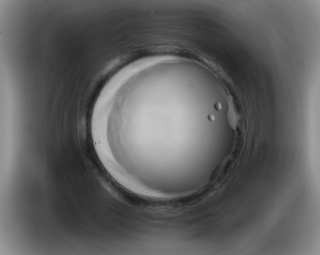 X0000084010729200703091926