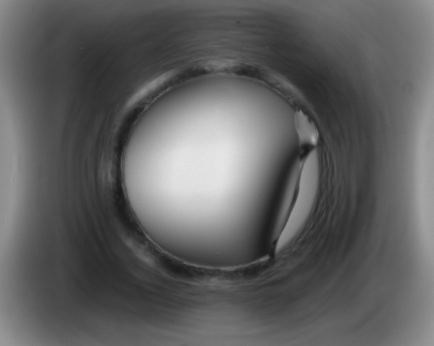 X0000084010732200703091926