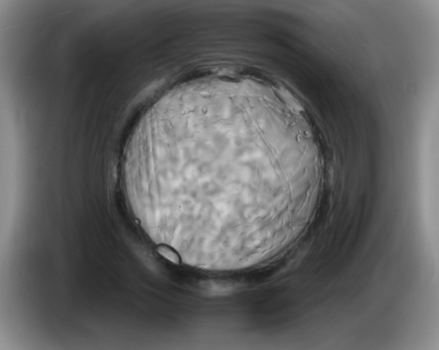 X0000084010733200703091926