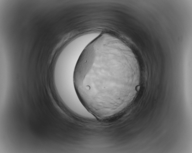 X0000084010734200703091926