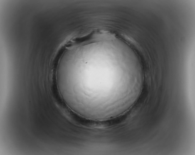 X0000084010735200703091926