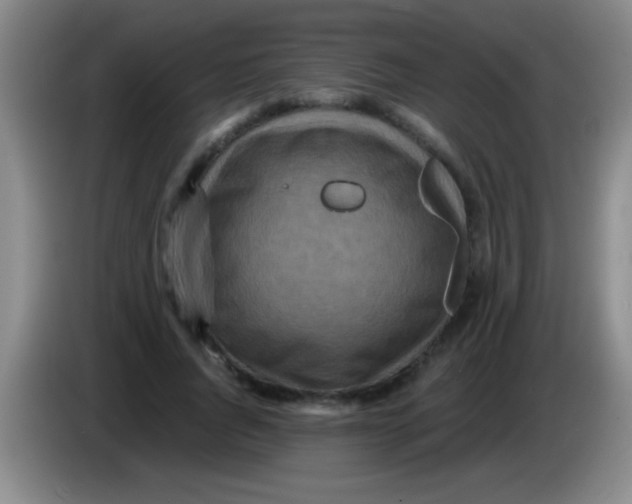 X0000084010736200703091926