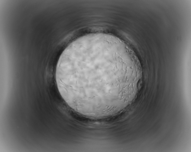 X0000084010737200703091926