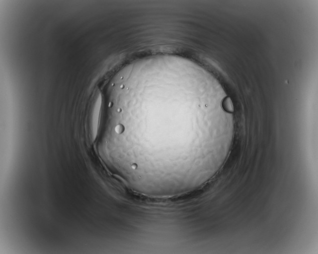 X0000084010738200703091926