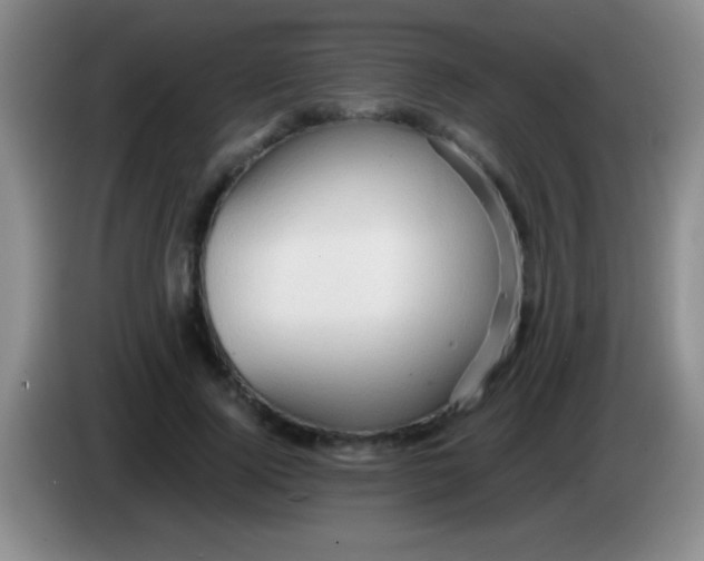 X0000084010740200703091926