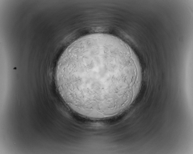 X0000084010741200703091926