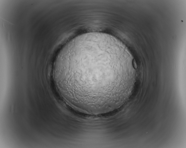 X0000084010742200703091926