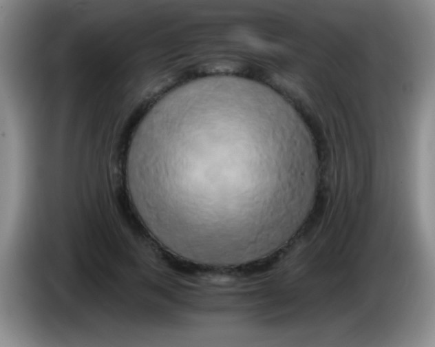 X0000084010743200703091926