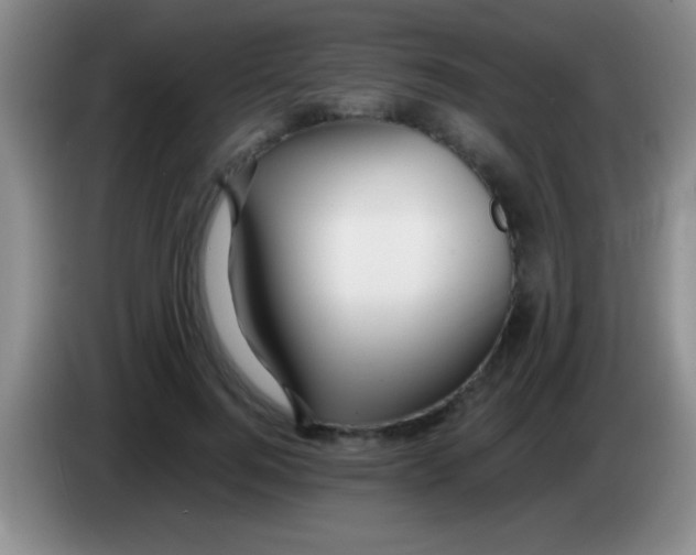 X0000084010744200703091927