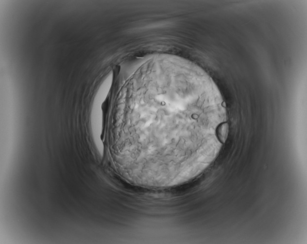 X0000084010745200703091927