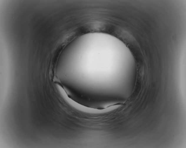 X0000084010746200703091927