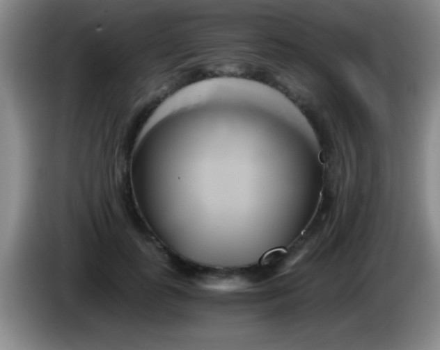 X0000084010747200703091927