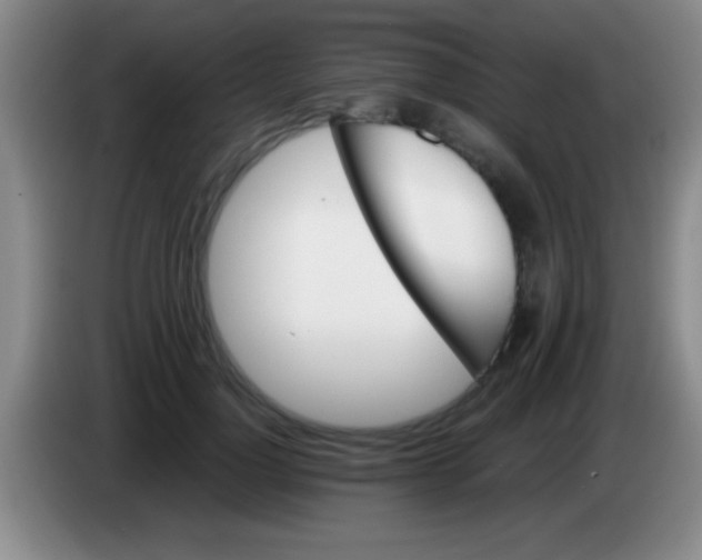 X0000084010748200703091927