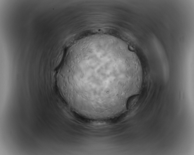 X0000084010749200703091927