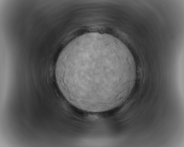 X0000084010753200703091927