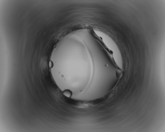 X0000084010754200703091927